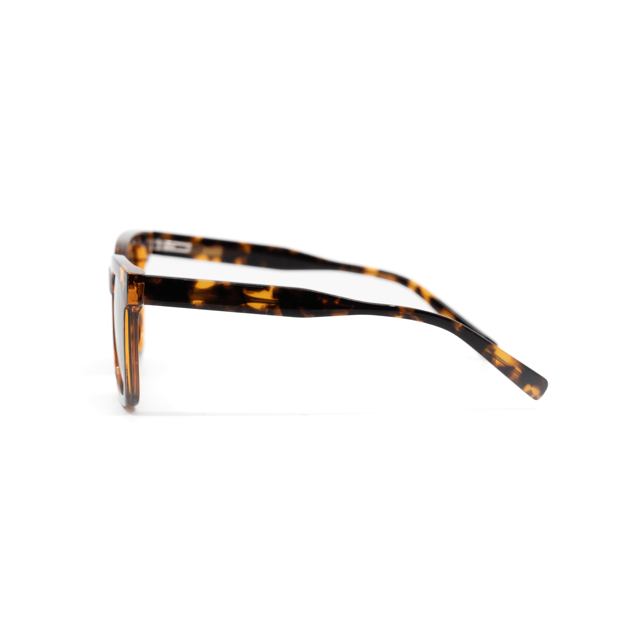 Belvedere - LuckyLosers - belvedere-amber